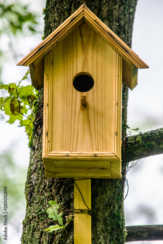 concept of nature protection, handmade birdhouse for birds hanging on the tree close-up concept of nature protection, handmade birdhouse for birds hanging on the tree close-up