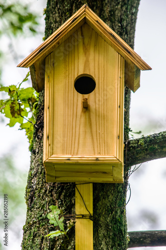 concept of nature protection, handmade birdhouse for birds hanging on the tree close-up