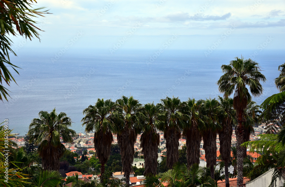 Panoramic view on the Funchal city - Madeira Island, Portugal. 