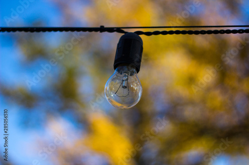 One glass bulb on a black wire in an autumn Park against a background of yellow trees and blue sky.