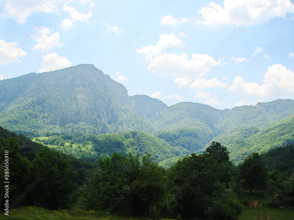 Obraz premium Natural picture of a mountain forest in the shadow of high peaks of a mountain ridge against a background of sunny blue sky.