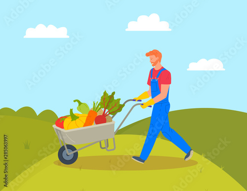 Pumpkins and beetroots, paprika and carrots in cart vector, farming man working on field. Hills and greenery, transportation of harvested vegetables. Flat cartoon