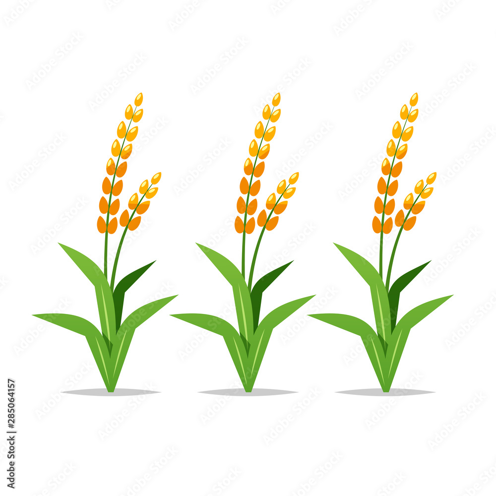 Cartoon rice plants vector isolated illustration Stock Vector | Adobe Stock