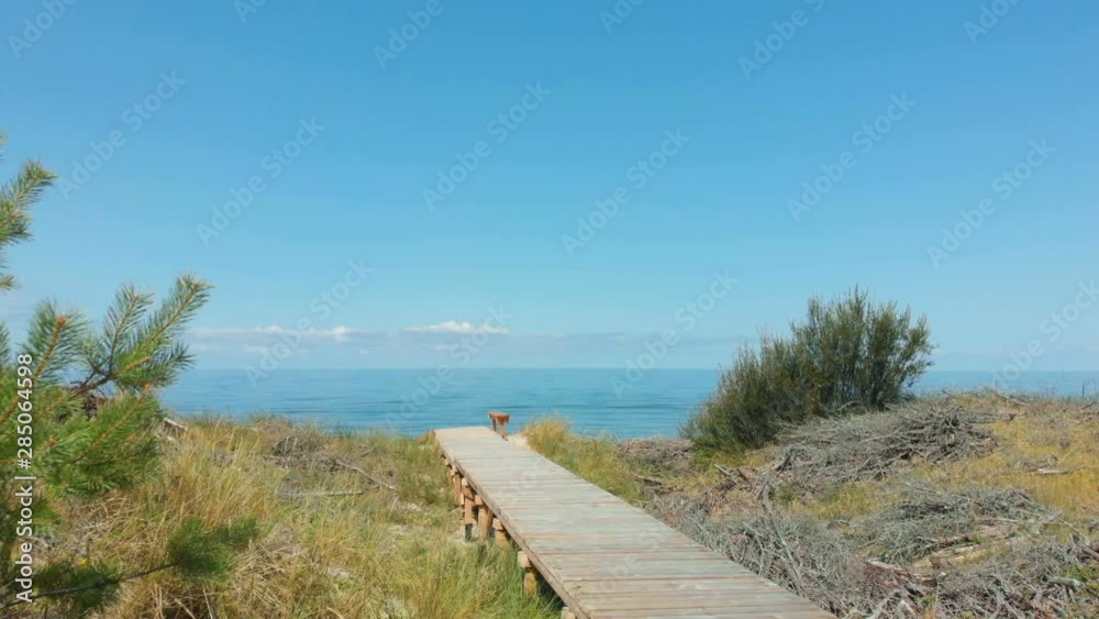 Aerial. Wooden walkway in the sea on beach. Fly over wooden path at Baltic sea over sand dunes with ocean view. 4K UHD. Path to the wide sandy beaches. Aerial. Wooden walkway in the sea on beach. Fly over wooden path at Baltic sea over sand dunes with ocean view. 4K UHD. Path to the wide sandy beaches.
