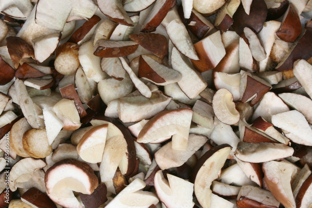 Frische Waldpilze geschnitten Frische Waldpilze geschnitten