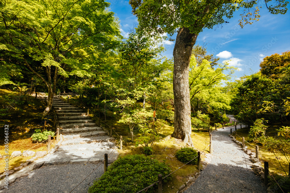 Fototapeta premium Tenryu-ji Garden and Temple Kyoto Japan