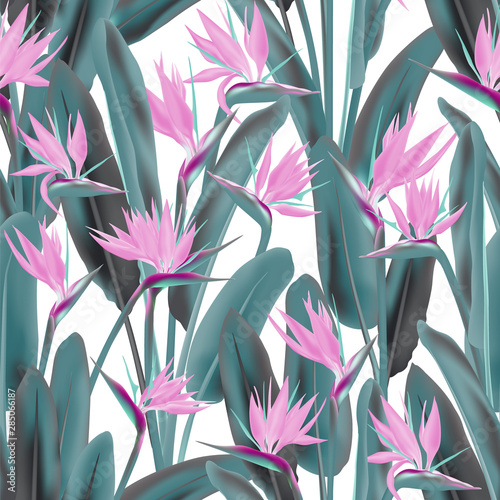 Bird of paradise tropical flower vector seamless pattern. Bohemian tropical plant fabric print design. South African plant tropical blossom of crane flower, strelitzia. Floral textile print.
