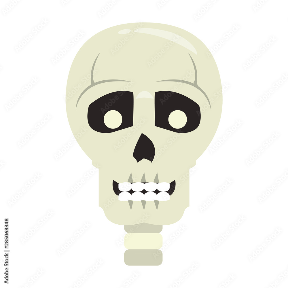 skull dead human anatomy cartoon