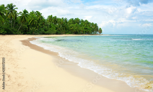Fototapeta Naklejka Na Ścianę i Meble -  Caribbean sea and green palm trees on white tropical beach.
