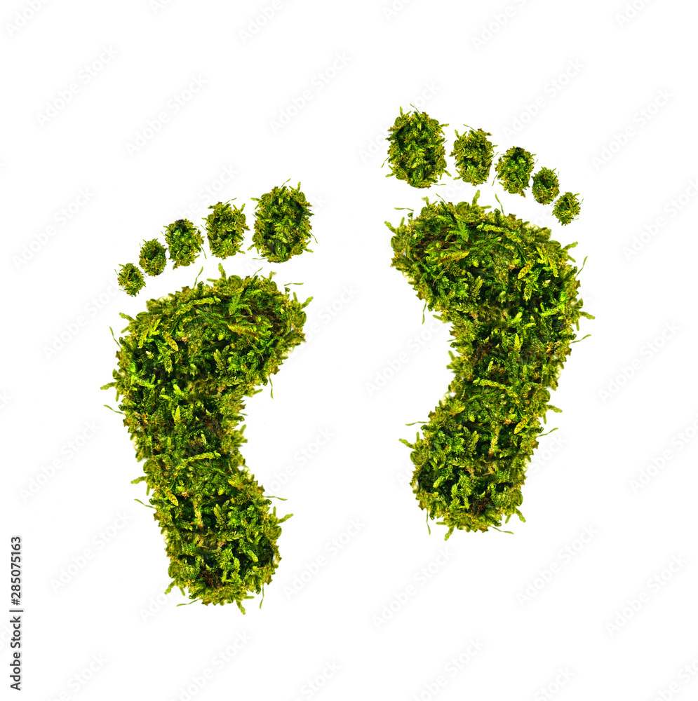 ökologischer Fußabdruck - grüne Füße aus Moos - obrazy, fototapety, plakaty 
