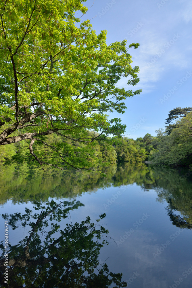 十二湖 八景の池 十二湖 八景の池