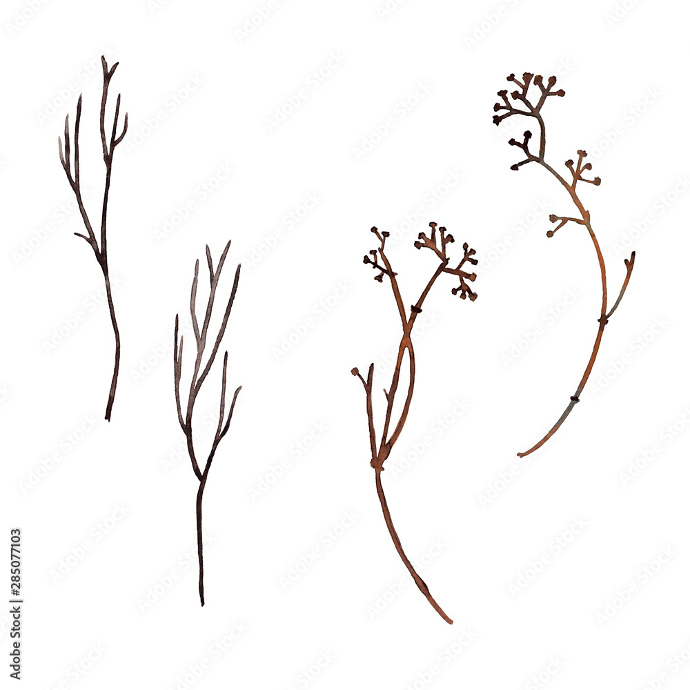 Fototapeta premium Dry forest branches.