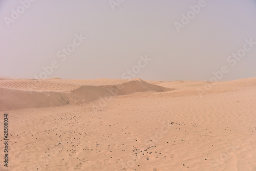 Sahara Desert in Tunis, Tunissia