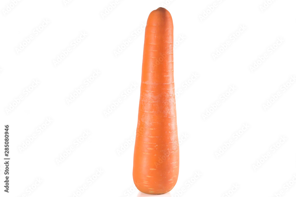 A single fresh orange carrot standing isolated on white background A single fresh orange carrot standing isolated on white background