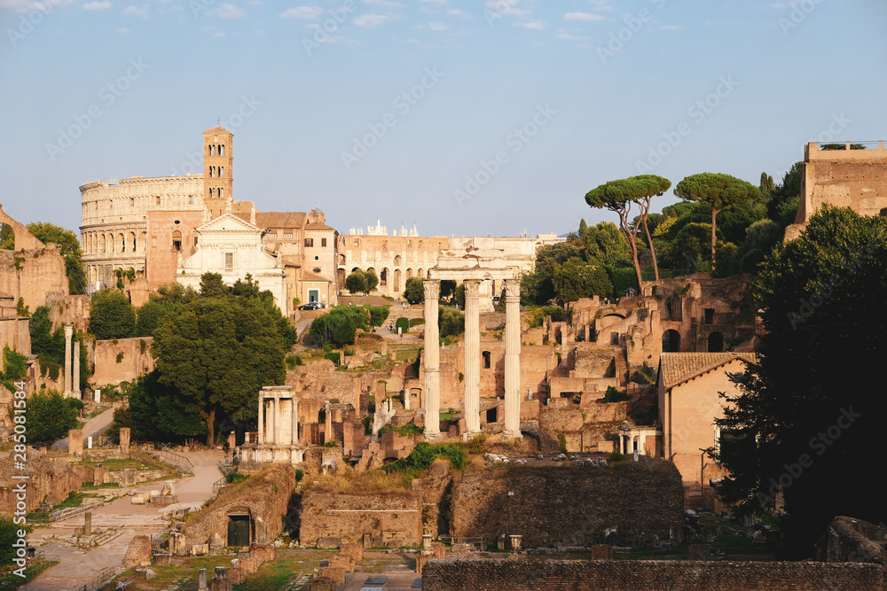 A fragment of the Roman Forum
