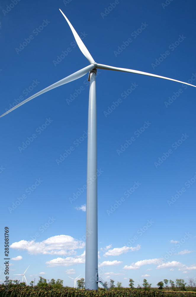One wind farm in the middle of a field with sunflowers