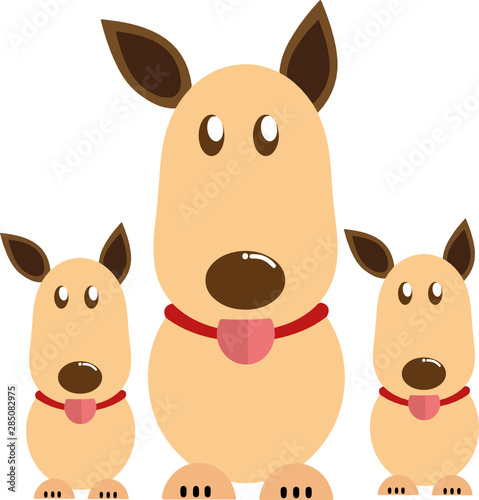 Perro