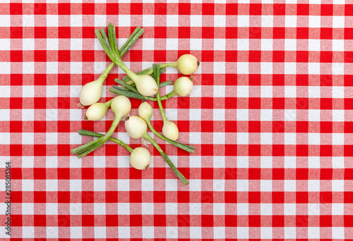 Zwiebel auf rot/weißer Tischdecke