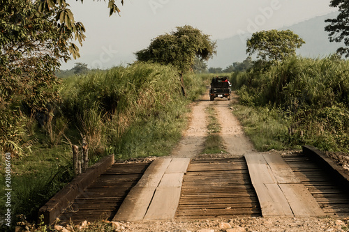 Driving over a wooden bridge at kaziranga national park