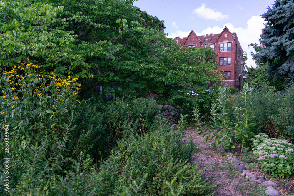 Path at a Community Garden in Logan Square Chicago with Plants and Trees