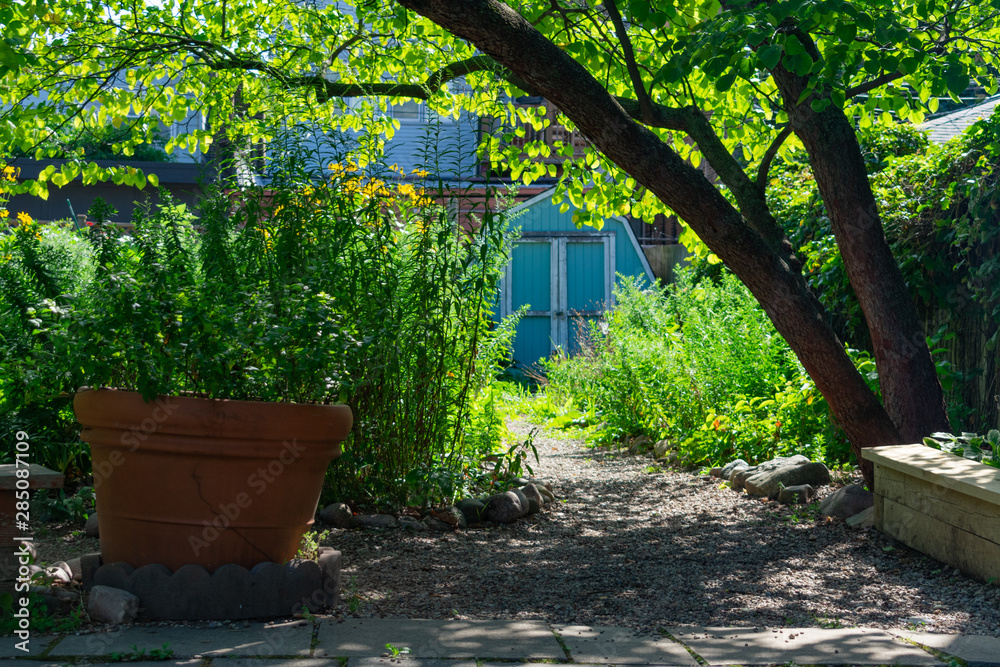 Community Garden in Logan Square Chicago with Plants and Shade Community Garden in Logan Square Chicago with Plants and Shade