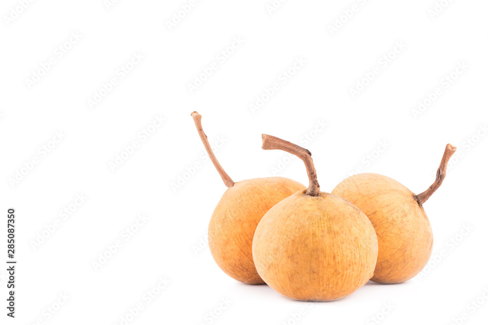sandoricum santol is tropical fruit on white background planting agriculture food isolated sandoricum santol is tropical fruit on white background planting agriculture food isolated