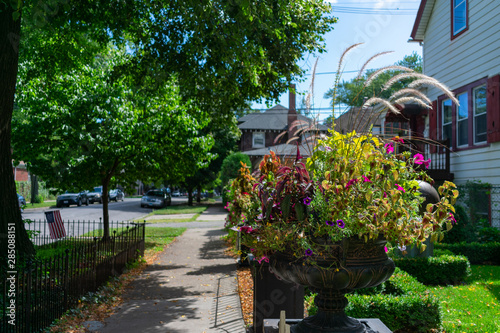 Beautiful Flower Pot along a Sidewalk in Logan Square Chicago with Homes photo