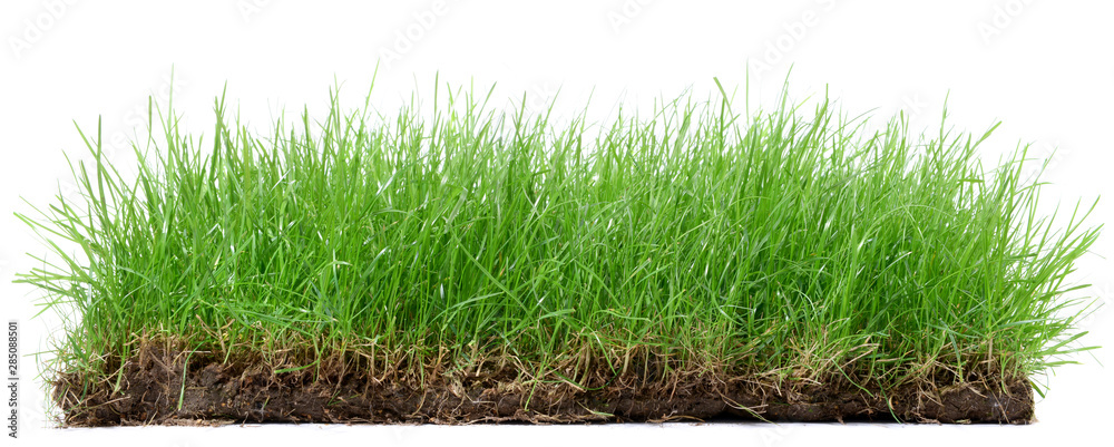 Φωτογραφία Gras mit Erde isoliert - Wiese freigestellt auf weiß