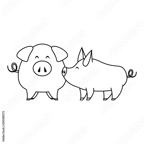 cute animals pigs farm cartoon in black and white