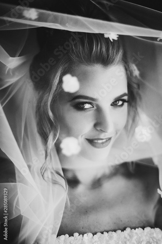 Stylish bride posing under veil in soft light near window in hotel room. Gorgeous sensual bride portrait with sexy look. Morning preparation before wedding ceremony