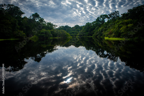 Trombeta's River - Amazon, Brazil photo