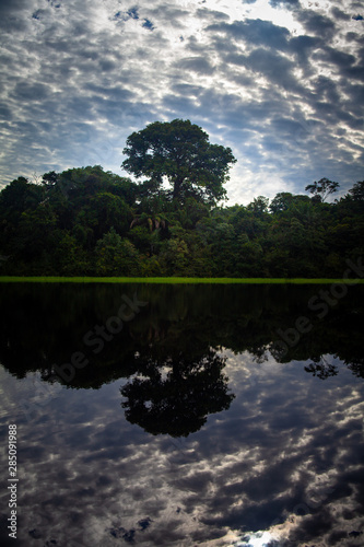 Trombeta's River - Amazônia, Brazil photo