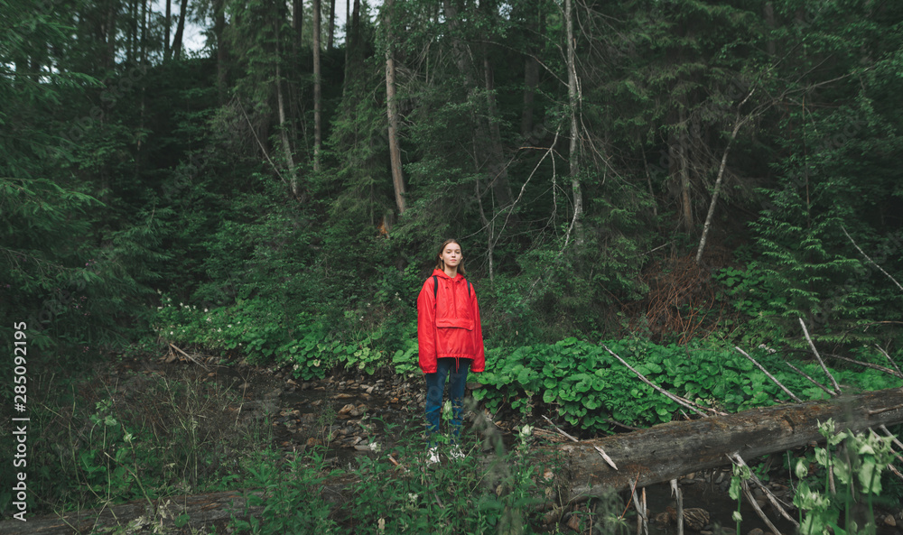 Girl tourist in red raincoat stands on log in forest near mountain stream, looks into camera. Portrait of a girl on a hike, stands on a background of beautiful forest landscape. Girl tourist in red raincoat stands on log in forest near mountain stream, looks into camera. Portrait of a girl on a hike, stands on a background of beautiful forest landscape.