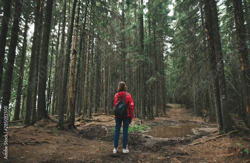 Back of a girl on a hike, stands on a background of forest paths with a puddle. Hiker woman in red jacket and with backpack on trail in mountain forest. Hiking in the forest concept. Background