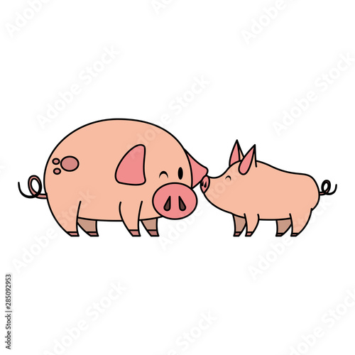 cute animals pigs farm cartoon