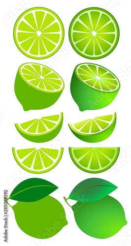 Isolated Fruits Lime Set on White Background