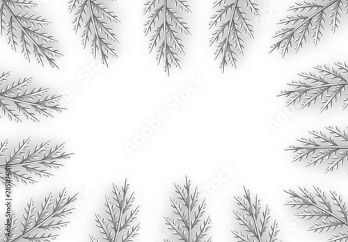Christmas decorative design elements from silver pine and fir branches