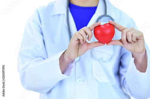 Cardiologist holding heart in hand, heart care concept, white background