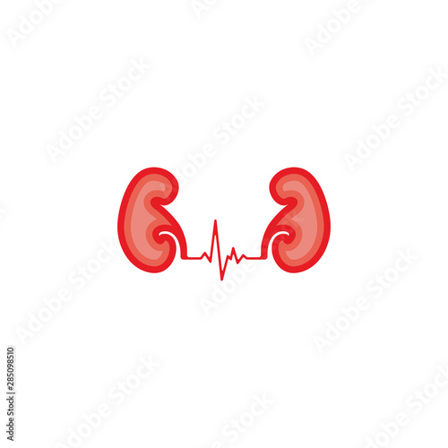 The Symbol Kidney Design Vectors Template