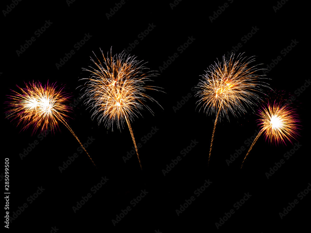 Fototapeta premium firework in dark sky