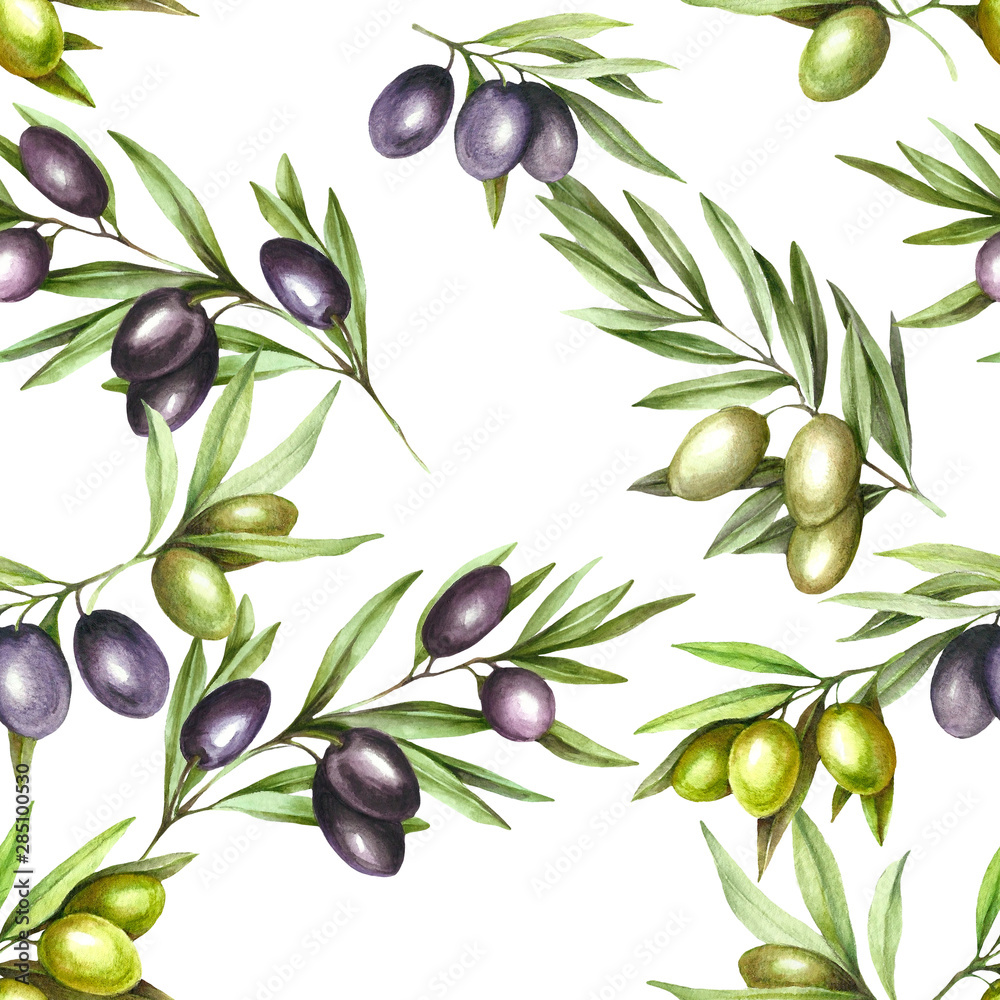 Seamless pattern with ripe black and green olives on white. Hand draw watercolor illustration. Seamless pattern with ripe black and green olives on white. Hand draw watercolor illustration.