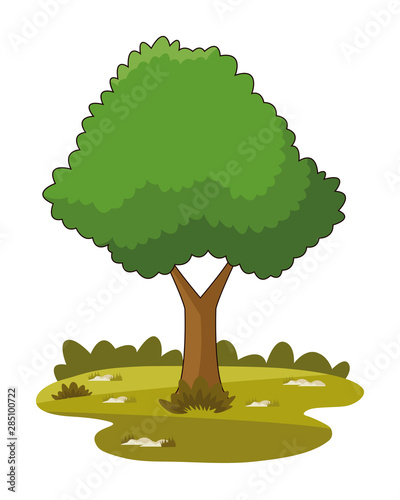 nature tree park cartoons
