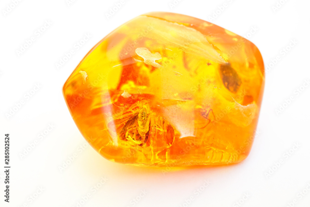Amber with inclusions and insects on a white background. A fly in petrified resin. Bright yellow color. Sunstone. Natural mineral. Advertising for jewelers. Fossilized petrified resin. Natural crystal Amber with inclusions and insects on a white background. A fly in petrified resin. Bright yellow color. Sunstone. Natural mineral. Advertising for jewelers. Fossilized petrified resin. Natural crystal