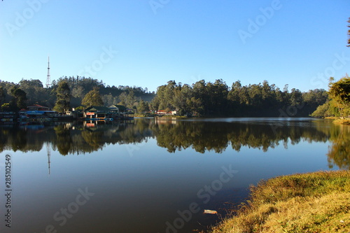 reflection of trees in lake