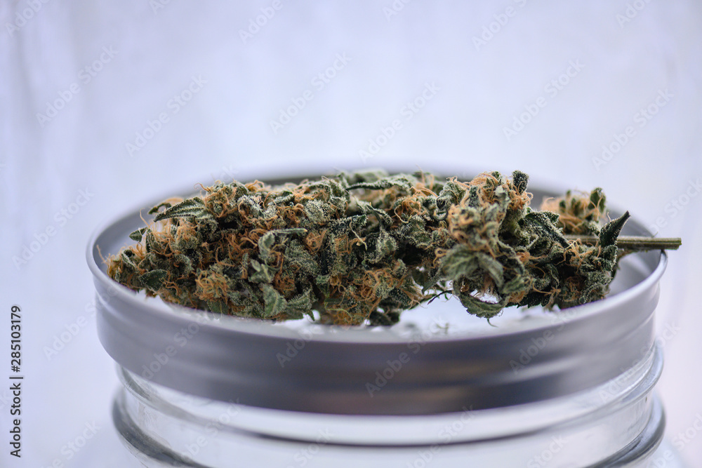marijauna bud with white background marijauna bud with white background