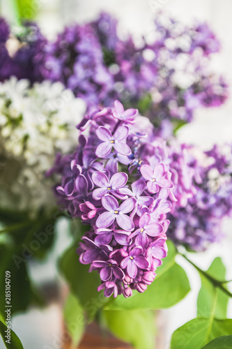 Lilac bouquet in vase on purple background. Spring flowers on the branch
