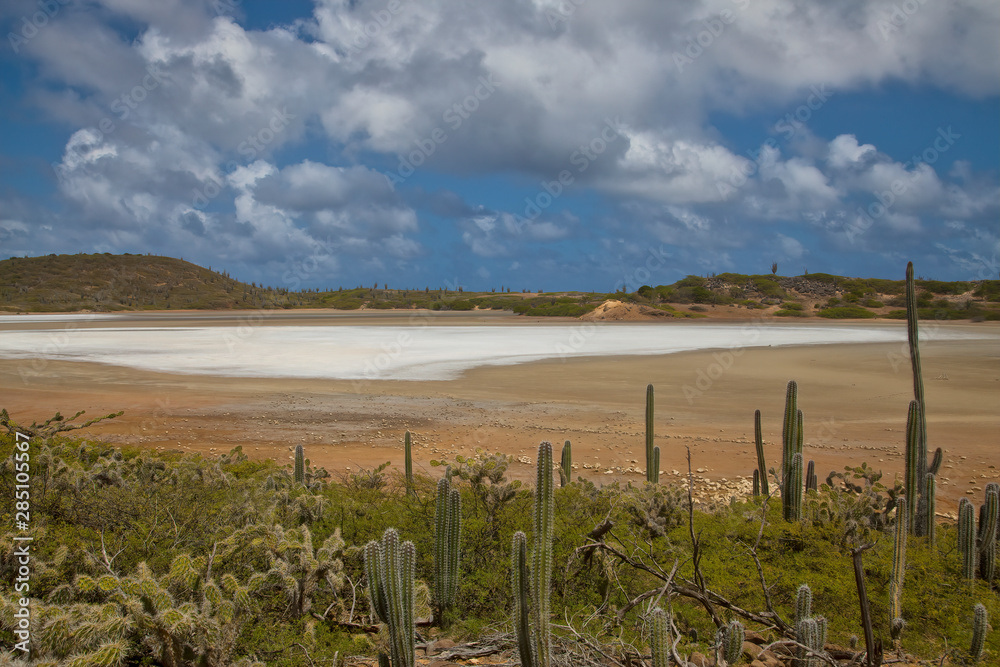 Salt Pan in Washington Slagbaai National Park, Bonaire