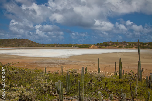 Salt Pan in Washington Slagbaai National Park, Bonaire