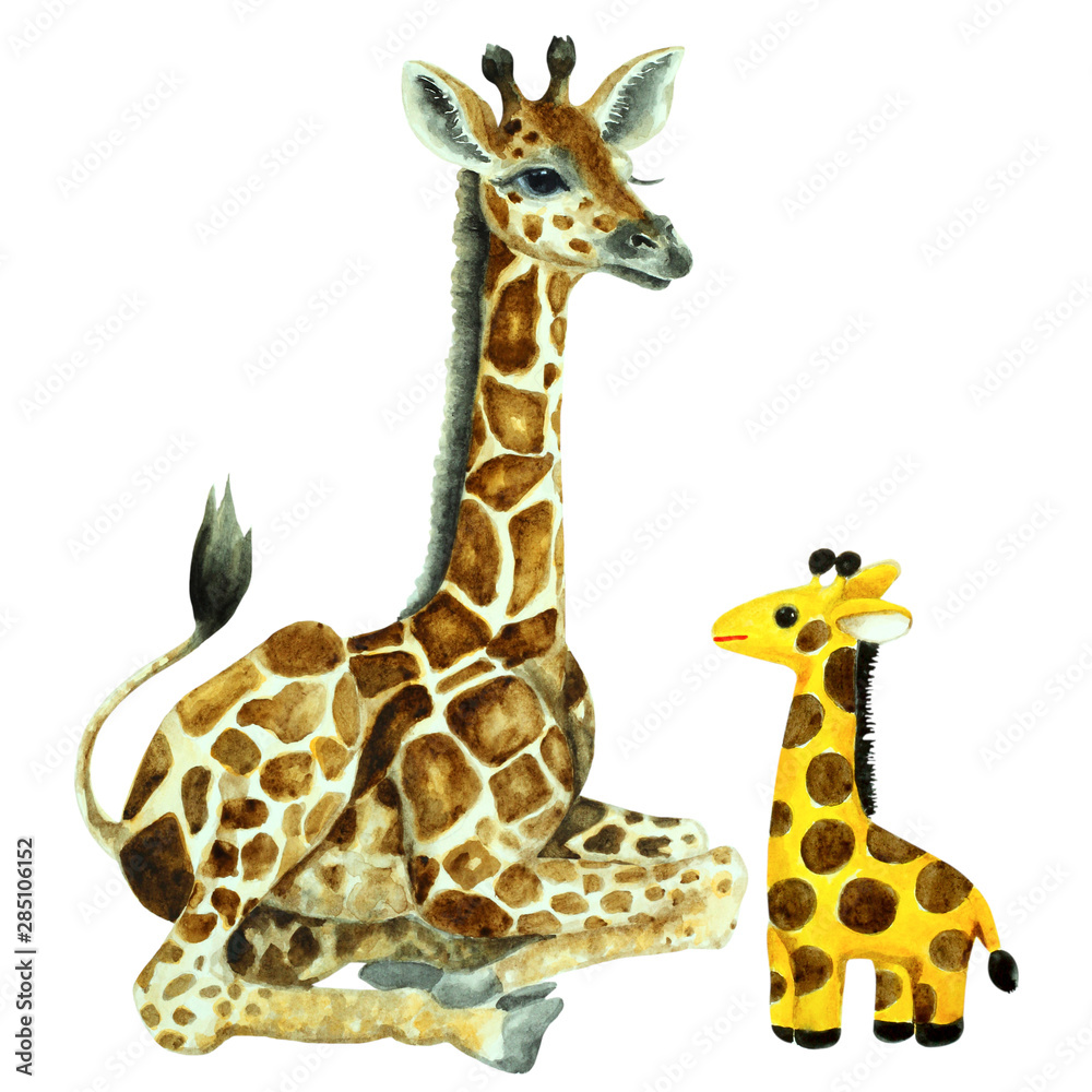 Fototapeta premium Baby giraffe and toy camelopard on a white background, hand drawn watercolor.