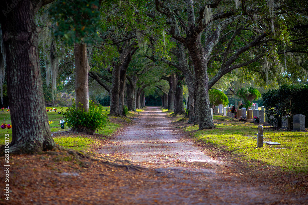 End of the Road. A tranquil pathway meanders through an old cemetery, framed by majestic oak trees with Spanish moss dangling softly from their branches. Tombstones and monuments are dotted near grass